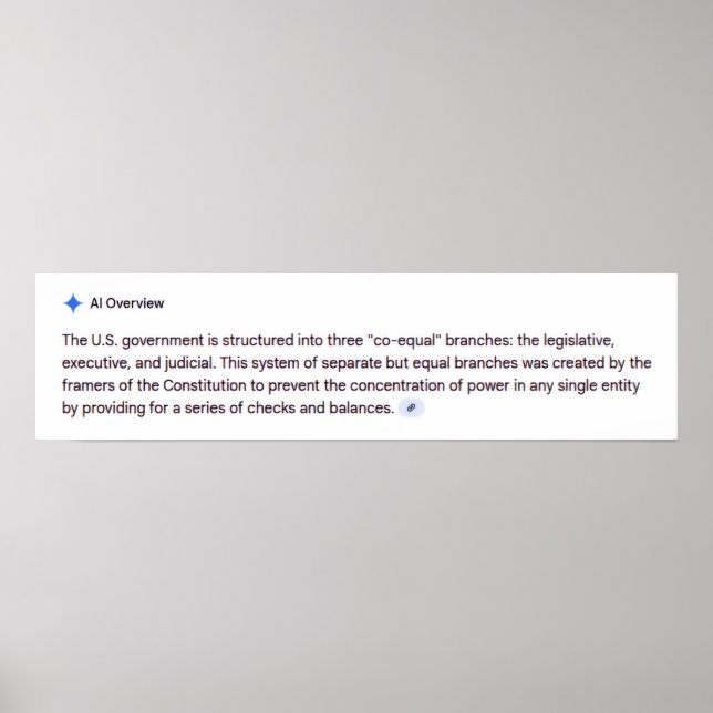 Co-Equal Branches of Government Poster (Devant)