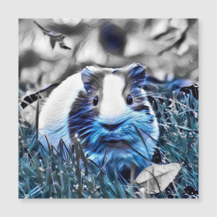 cobaye bleu