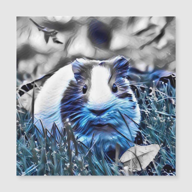 cobaye bleu (Devant)