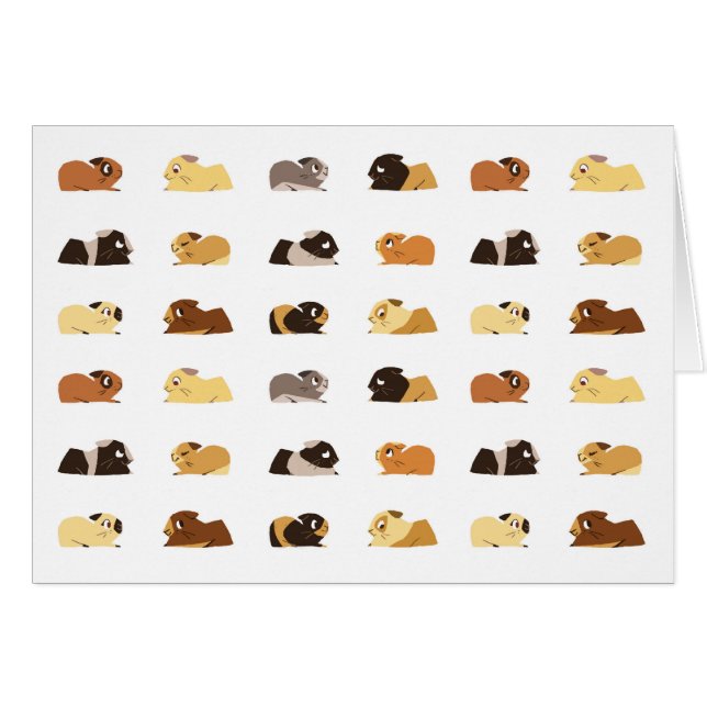 Cobayes (Devant horizontal)