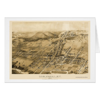 Cobbleskill, carte panoramique de NY - 1883