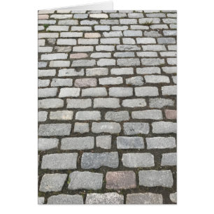 Cobblestone Walkway, Central Park, New York