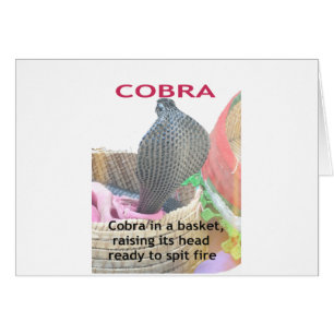 Cobra dans un panier prêt à cracher du feu