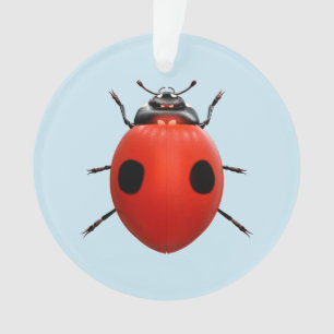 Coccinelle Chanceuse