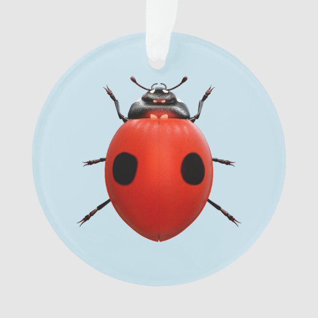 Coccinelle Chanceuse (devant)