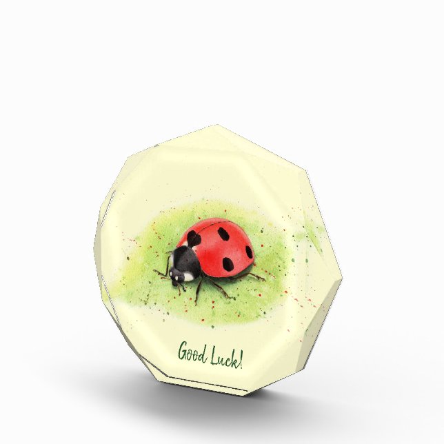 Coccinelle mignonne sur un bloc de photo de feuill (Droite)
