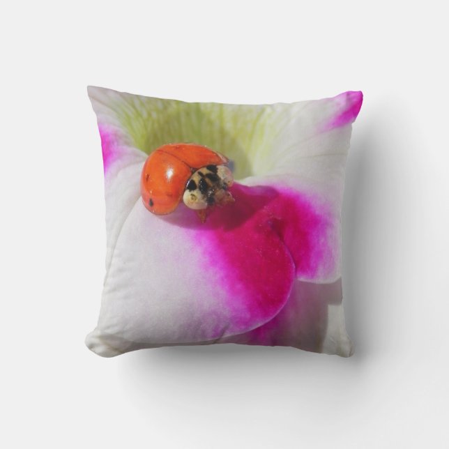 Coccinelle sur le pétunia -  Coussin (Recto)