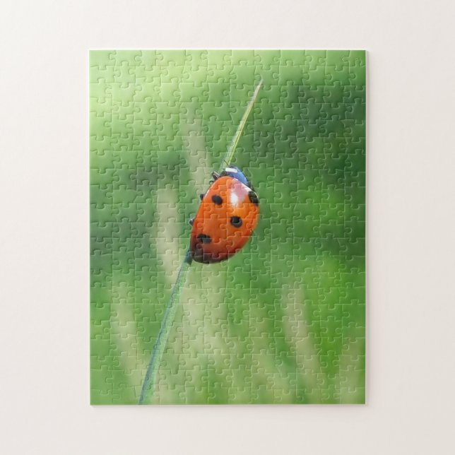 Coccinelle sur un brin d'herbe Puzzle (Vertical)