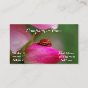 Coccinelle sur un carte de visite de rose