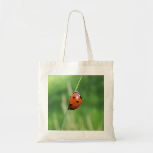 Coccinelle sur une feuille d'herbe Sac