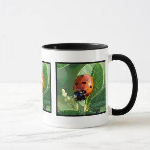 Coccinelle, tasse de ~ de coccinelle