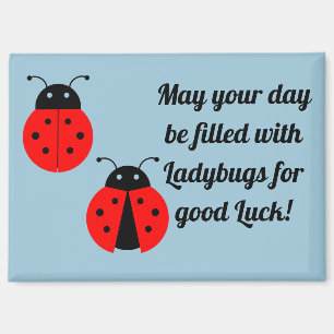 Coccinelles pour la Chance Magnet