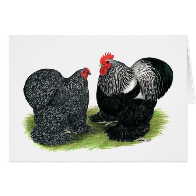 Cochins : crayonnés d'argent (Devant horizontal)
