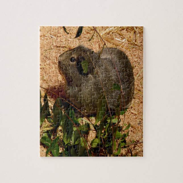 Cochon de Guinée Brown, Puzzle de Jigsaw (Vertical)