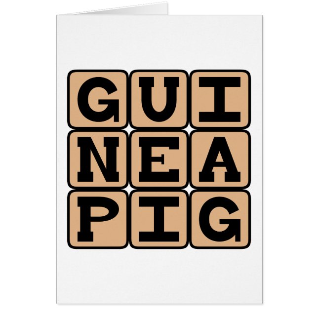 Cochon d'Inde, Animal de Compagnie Mignon ou Sujet (Devant)