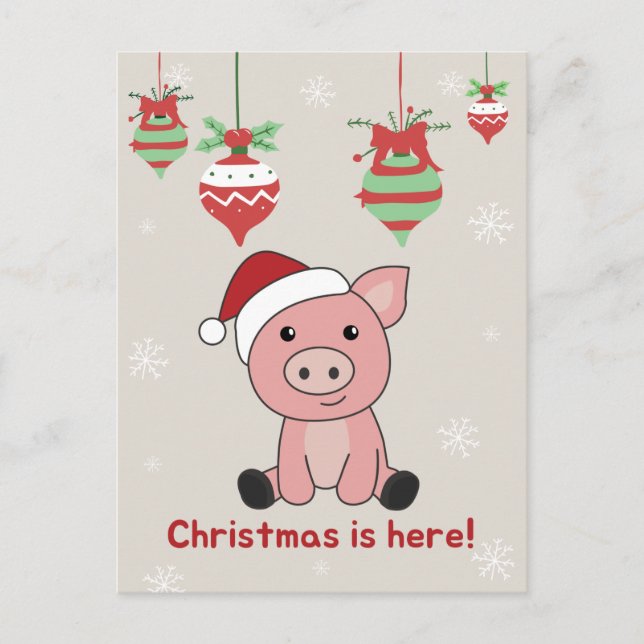 Cochon Joyeux Noël Animaux Cochons Fête Carte post (Devant)