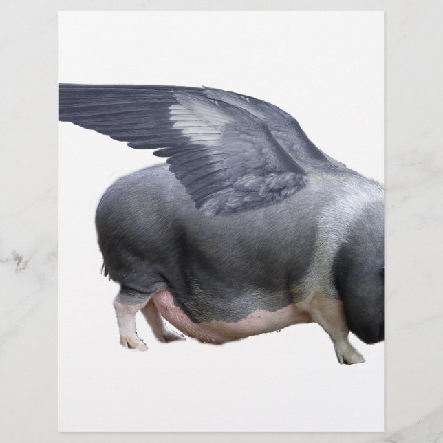 cochon volant (Devant)