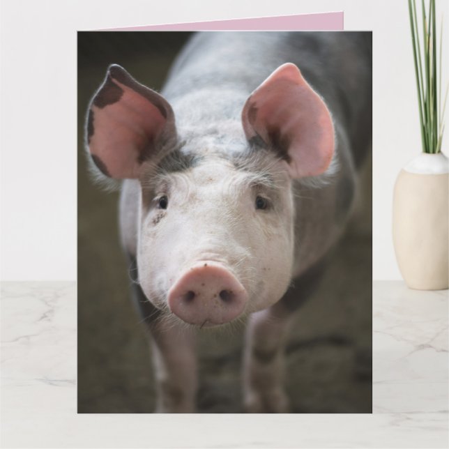 COCHONS ET BISOU CARTE DE COCHON CARTES (Devant)