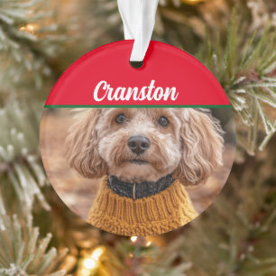 Cockapoo Chien Père Noël avec nom et ornement phot