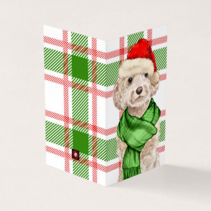 Cockapoo Noël Chien rouge et vert en vacances