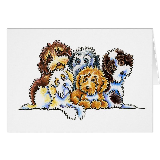 Cockapoo Rainbow (Devant horizontal)