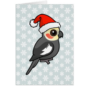Cockatiel Père Noël
