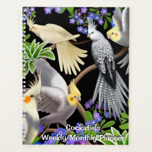 Cockatiels in Forget Me Nots Hebdomadaire par mois