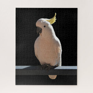 Cockatoo au Sundial Apartments Jigsaw Puzzle