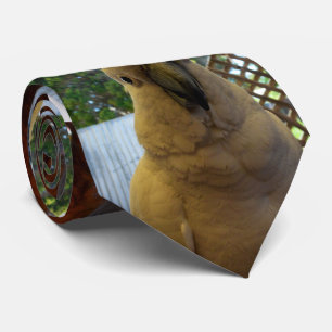 Cockatoo Aussie Blanche, Cravate