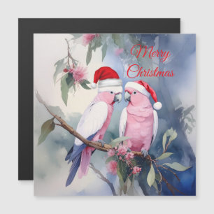 Cockatoos roses Santa Hat Joyeux Noël