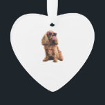 Cocker Spaniel<br><div class="desc">Cocker Spaniel</div>