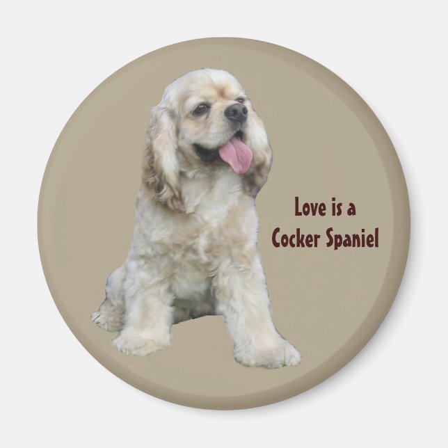Cocker Spaniel Irresistible Magnet (Devant)