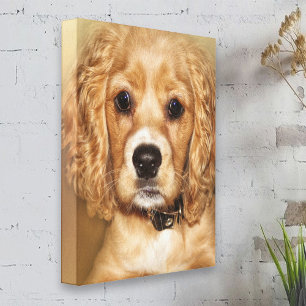 Cocker Spaniel Puppy Portrait toile