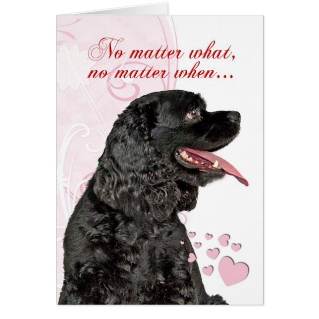 Cocker Spaniel Valentine (Devant)