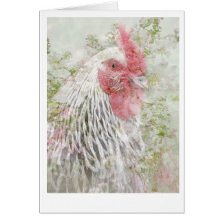 Cockeral en fleurs