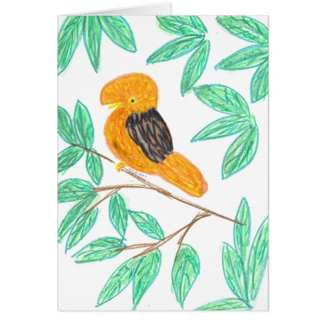 CockOfTheRock (Rupicola péruvianus) (Devant)