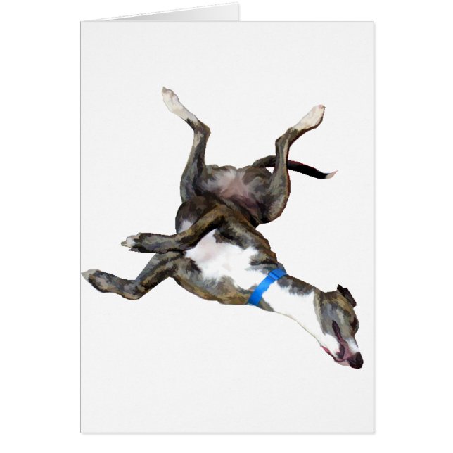 Cockroaching (Devant)