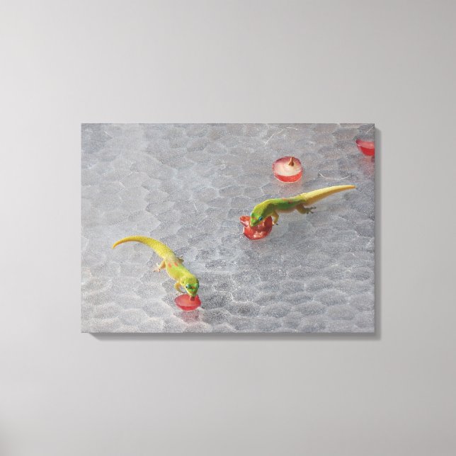 Cocktail Gecko heure deux pièces ensemble de toile (Recto)