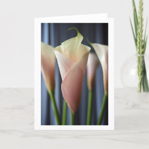 Cocktail Party Blanc Calla Lily Cartes de voeux