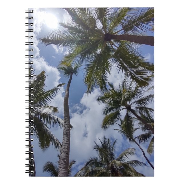 COCO PALMS #2 CARNET (Devant)