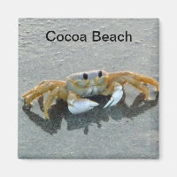 Cocoa Beach Crab Magnet Photo Floride