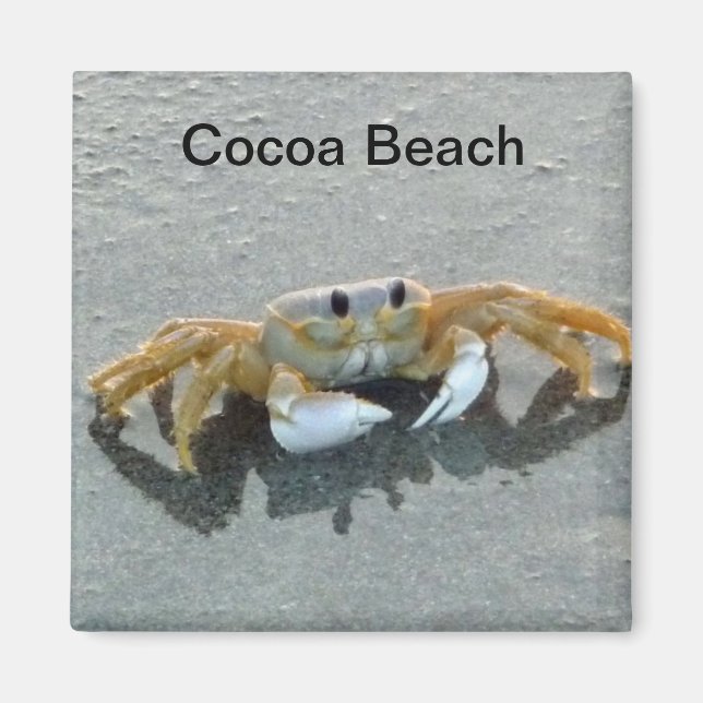 Cocoa Beach Crab Magnet Photo Floride (Devant)
