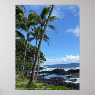 Coconut Palm Beach Hawaii Poster @3dudes1life