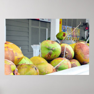 Coconut Water Key West FL Coconuts Poster