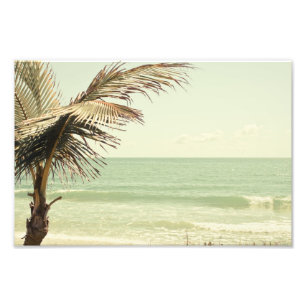 Cocotier et photographie en pastel de plage