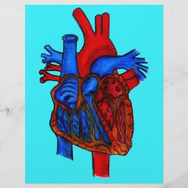 Coeur anatomique Aqua dessiné à la main (Devant)