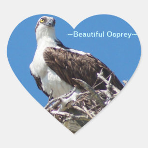 Cœur Beau Sticker Coeur Osprey Hawk
