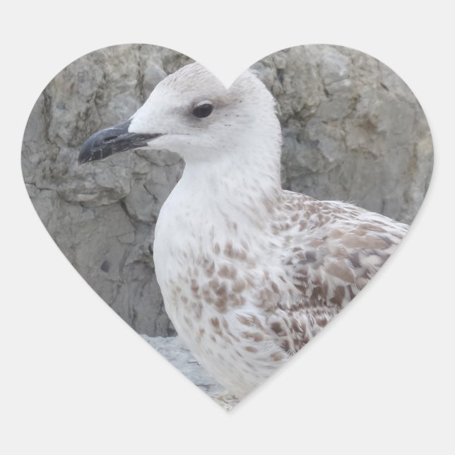 Cœur Bébé Sticker Coeur Seagull (Devant)