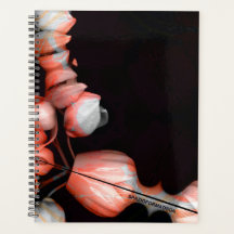 "Coeur blanc en noir du soleil"