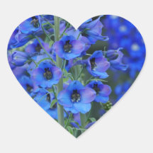 Bleu Delphiniums Sticker Coeur
